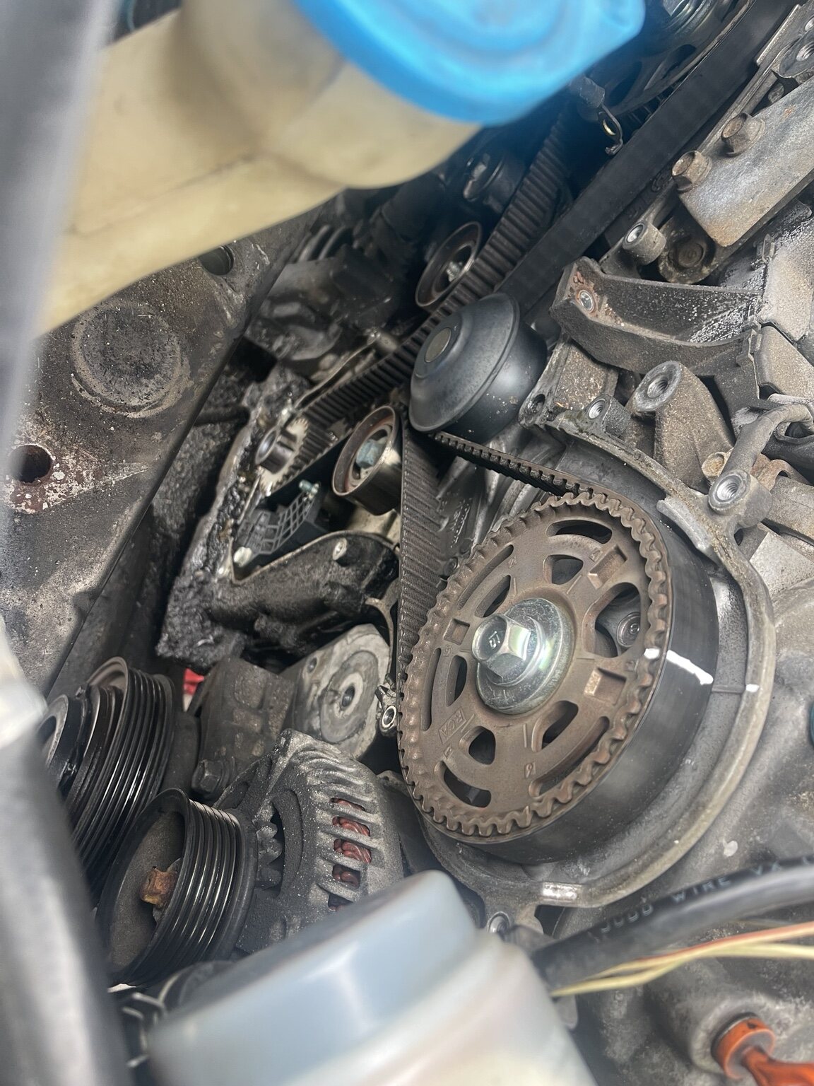 Timing belt service